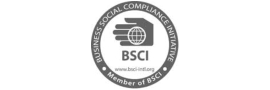bsci-logo